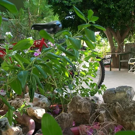 Sevgi Hotel Sarigerme