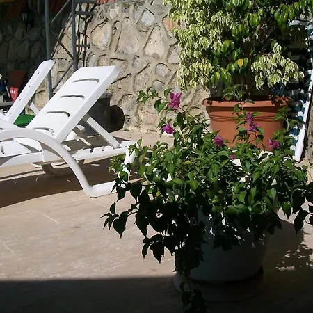 Sevgi