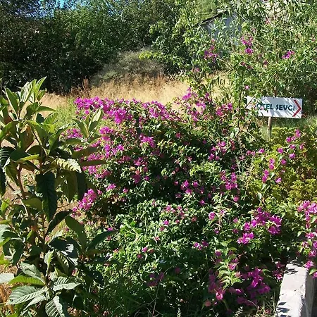 Sevgi 3* Sarigerme